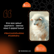 Ibraahiim Ilma isaa qaluuf qophaa'e