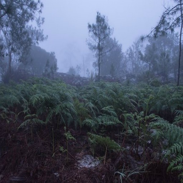 末日的迹象（7/7）：最后的大迹象