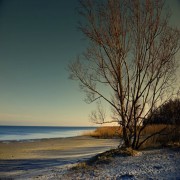 La Adoración en el Islam (parte 3 de 3): Un sistema integral de Adoración