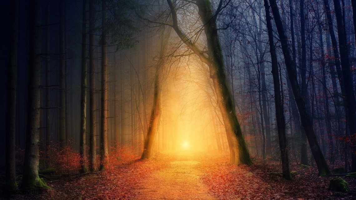 Jeffrey Lang, Profesor de Matemáticas y Escritor, USA