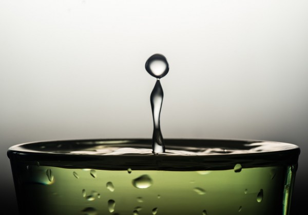 जब तुम में से किसी के बर्तन में मक्खी गिर जाए तो वह उसे पूरा डुबोले और फिर उसे निकाल कर फेंक दे।