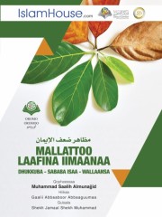 MALLATTOO LAAFINA IIMAANAA