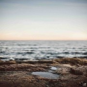 I Am the Prophet, No Lying