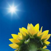 WAS DER ISLAM ÜBER KINDER SAGT (TEIL 5 VON 5): SORGE & FAIRNESS