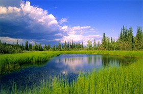 ¿Por qué Dios creó? (parte 2 de 3): La Misericordia y Justicia Divinas