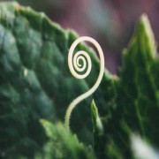 So Why Are We Not Thankful?